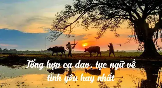 câu nói hay về tình yêu đôi lứa