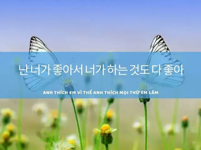 câu nói tiếng hàn hay câu nói tiếng hàn hay