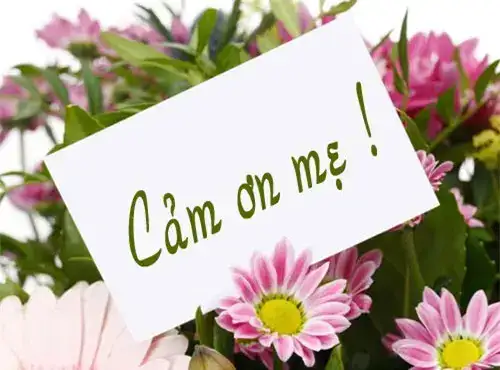 câu nói cảm ơn mẹ câu nói cảm ơn mẹ