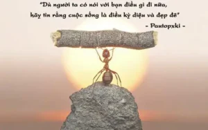 những câu nói cực phũ