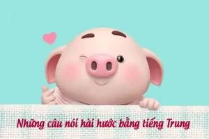 những câu nói hài hước trong tiếng anh