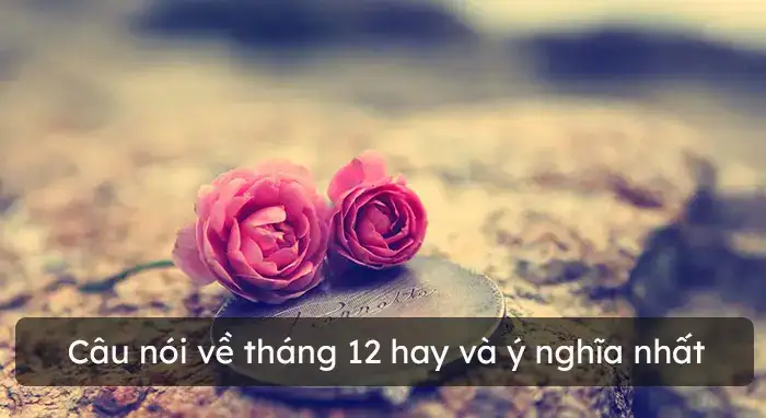 câu nói hay tháng 12 câu nói hay tháng 12