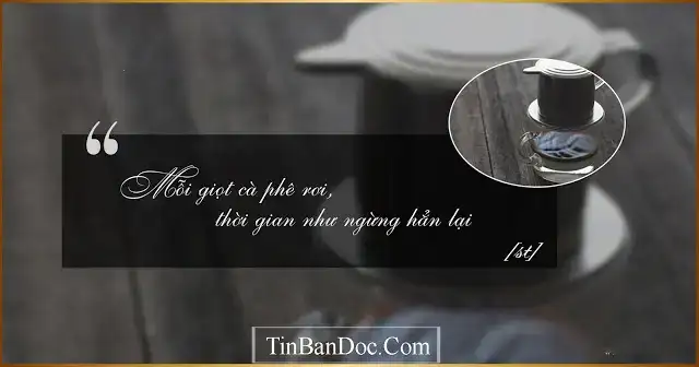 câu nói hay về cafe câu nói hay về cafe