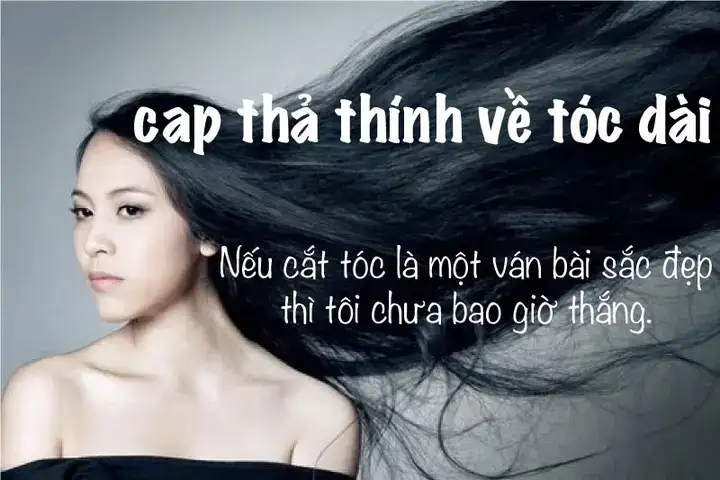 câu nói hay về tóc dài câu nói hay về tóc dài