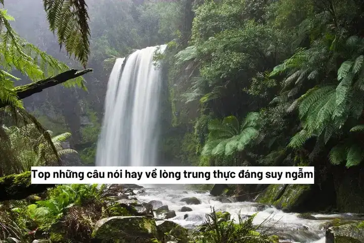 câu nói hay về ý thức câu nói hay về ý thức