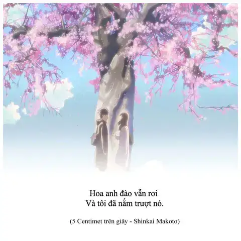 câu nói trong 5cm s câu nói trong 5cm s