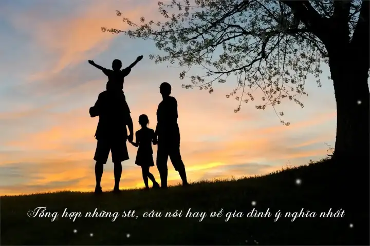 Tổng Hợp Những Câu Nói Về Mẹ Chồng Hay, Ý Nghĩa Nhất