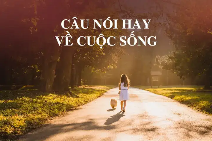 video những câu nói hay về cuộc sống video những câu nói hay về cuộc sống
