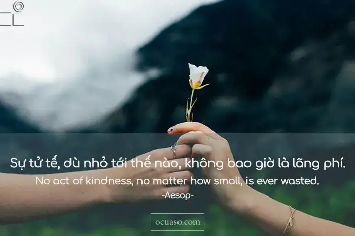 câu nói hay về lòng tốt đặt không đúng chỗ câu nói hay về lòng tốt đặt không đúng chỗ