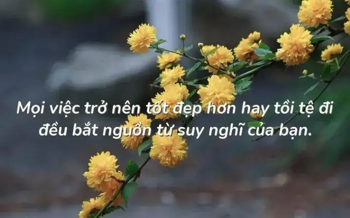 câu nói hay về nghị lực phấn đấu