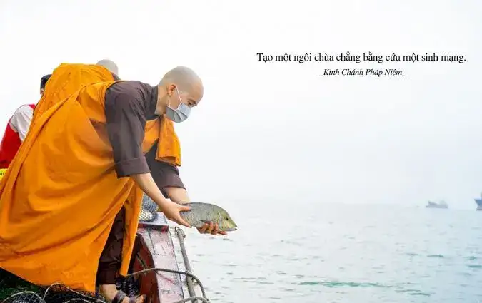 câu nói hay về phóng sanh câu nói hay về phóng sanh