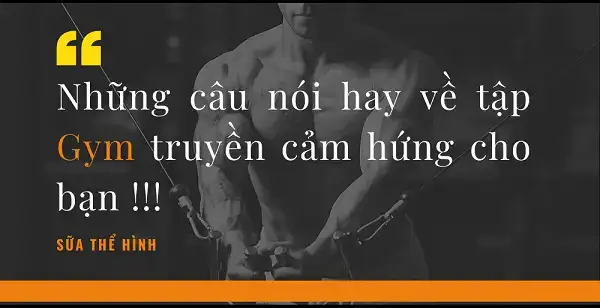 những câu nói hay về tập thể dục những câu nói hay về tập thể dục