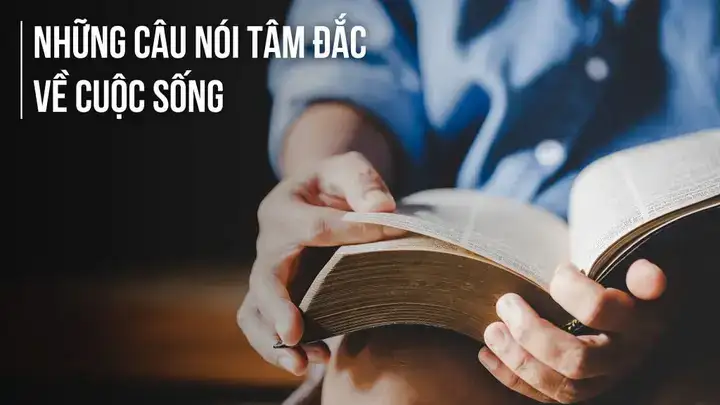 những câu nói tâm đắc những câu nói tâm đắc